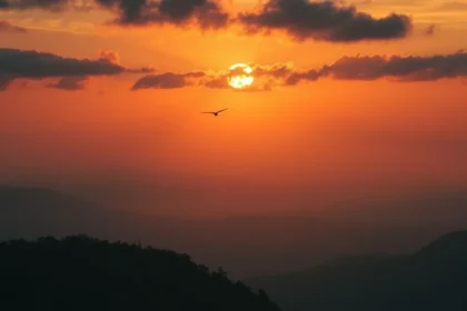 Significado da visita de morcego na bíblia